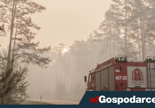 250 ha lasu w ogniu. W akcji gaśniczej zginął pilot