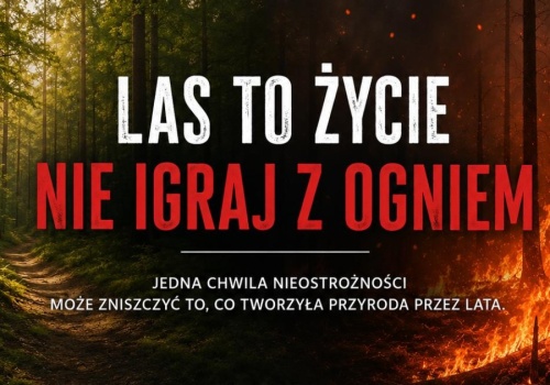 Leśnicy alarmują: susza i wysokie temperatury sprzyjają pożarom lasów