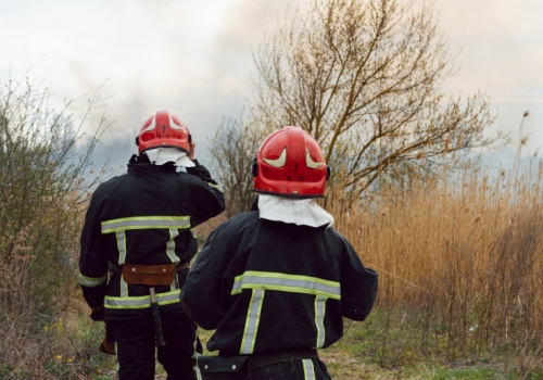 Lasy płoną jak zapałki. Ten błąd najczęściej kończy się pożarem