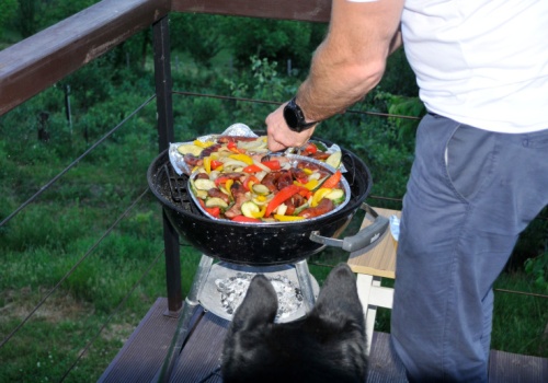 Ten grill truje już przy rozpalaniu. Naukowcy ostrzegają