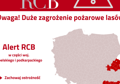 Alert RCB dla Podkarpacia. Duże zagrożenie pożarowe lasów, bezwzględny zakaz używania ognia