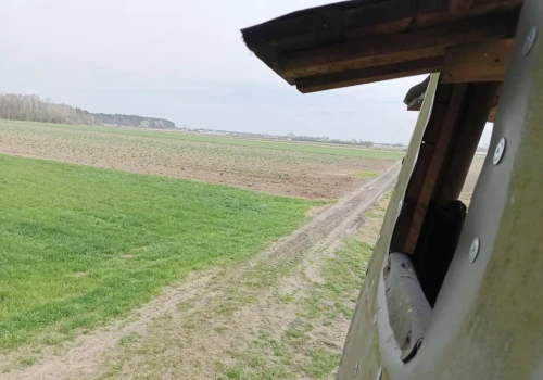 Nawet 3 lata za przegonienie dzika z pola? Alarm po zmianach w ustawie