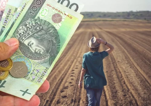 Ekoschematy po 2027. Za co rolnik dostanie dopłaty? Jest lista zmian