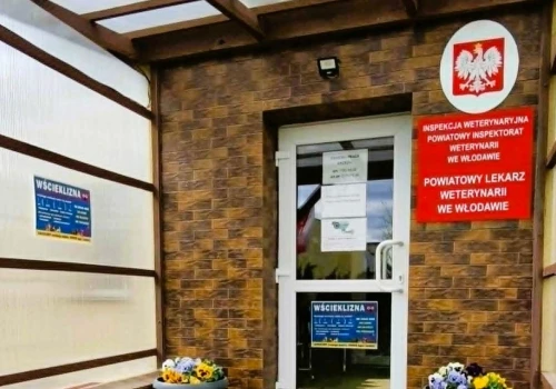 Mobbing w Inspektoracie Weterynarii we Włodawie. Pracownicy byli poniżani i nękani, kazano im malować ściany