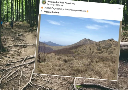 Groźna sytuacja w Bieszczadach. Park ostrzega turystów: „Bezwzględny zakaz”