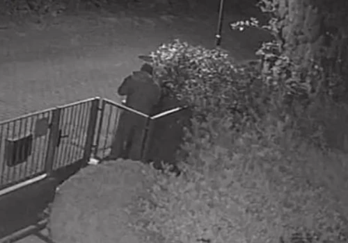 „Gang oświetleniowy” uderzył na Pogodnie. Łupem padły… lampki z drzewa i płotu