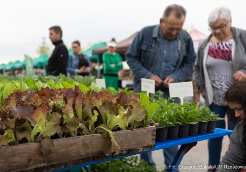 Smaki regionu wracają do Parku Papieskiego. Kolejna edycja Podkarpackiego Bazarku już w sobotę