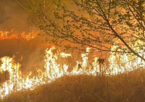 Seria pożarów w gminie Skórzec. 36 interwencji, nocne pożary i podejrzenia podpaleń