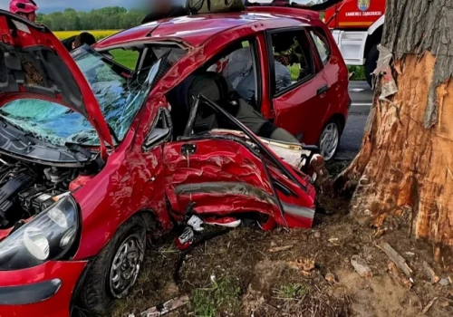 Mandat nie pomógł. 30-latek chwilę później roztrzaskał się na drzewie