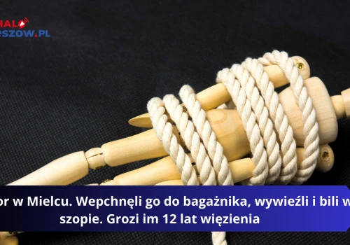 Horror w Mielcu. Wepchnęli go do bagażnika, wywieźli i bili w szopie. Grozi im 12 lat więzienia