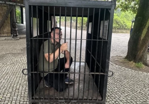 Na kaca niedźwiedź z rurką w wątrobie. W zoo we Wrocławiu możesz wejść do malutkiej klatki