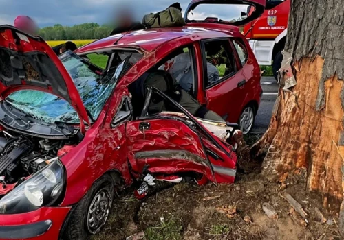 Dostał mandat za prędkość. Kilka minut później rozbił auto na drzewie