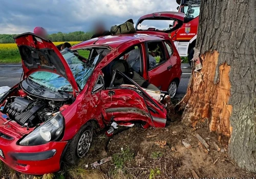 Dostał mandat za prędkość. Kilka minut później rozbił się na drzewie