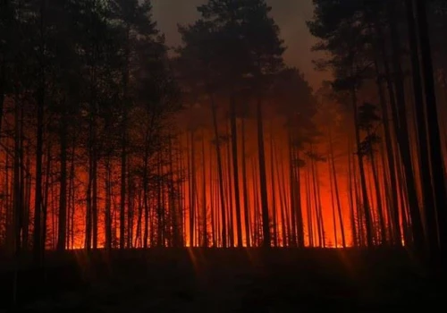 Trwa gaszenie pożaru w Puszczy Solskiej. Powierzchnia pogorzeliska to 300 ha