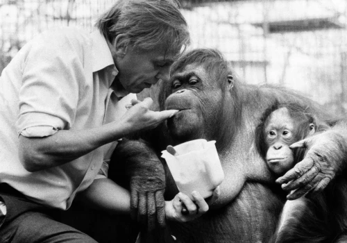 Pokazał ludziom, jak wyniszczyli planetę. David Attenborough ma jeden cel