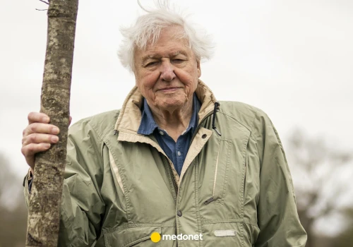 David Attenborough skończył 100 lat. Oto jego sposób, żeby żyć długo w zdrowiu