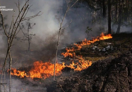 Ogromny pożar w Ukrainie. Płonie Strefa Wykluczenia