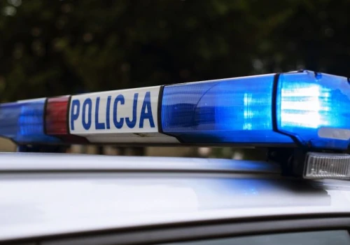 Przemoc wobec rodziny i znęcanie się nad zwierzęciem. Mieszkaniec powiatu opatowskiego stanie przed sądem