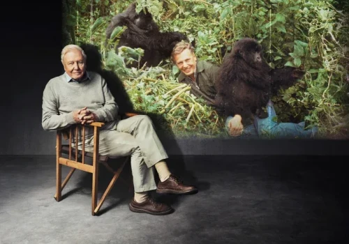 Sir David kończy 100 lat. Wciąż uczy kochać naturę