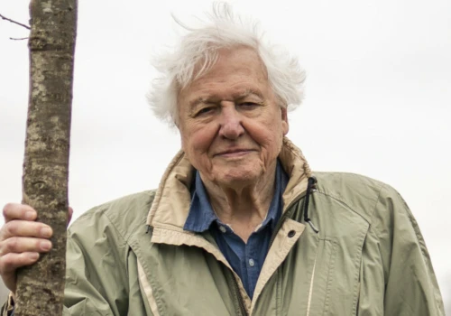 Sir David Attenborough skończył 100 lat. Oto sekret jego długowieczności