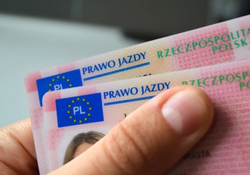 Masz taki wpis w prawie jazdy? Policja od razu to sprawdzi. Bez wahania wlepi mandat 500 zł