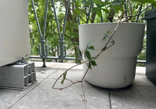 Czarne ślady po donicach i brudne fugi znikają bez skrobania. Balkon wygląda jak po remoncie