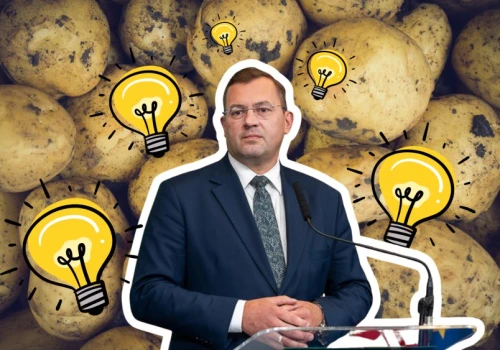 Ziemniaki z Niemiec zalewają rynek w Polsce. Rząd chce produkować z nich prąd