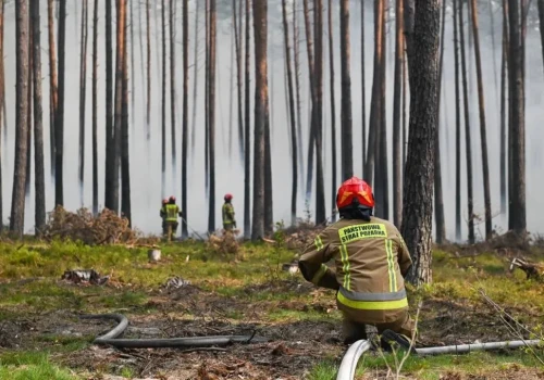 Pożar na Roztoczu opanowany. 300 strażaków dogasza pogorzeliska w Puszczy Solskiej