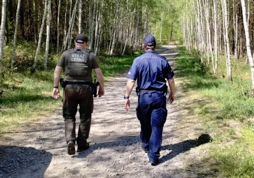 Policja i Straż Leśna kontrolują mysłowickie lasy