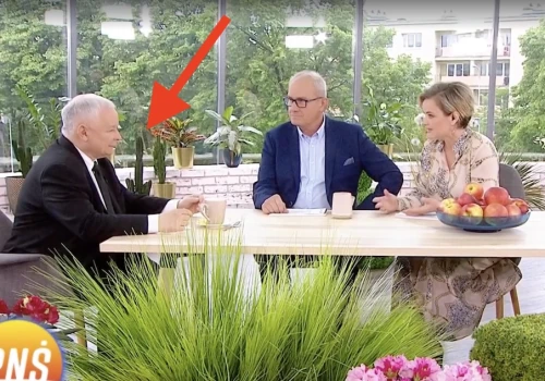 O TYM wywiadzie Kaczyński wolałby zapomnieć! Dziennikarka ujawniła kulisy, tak zachowywał się prezes. „Przyszedł wściekły”