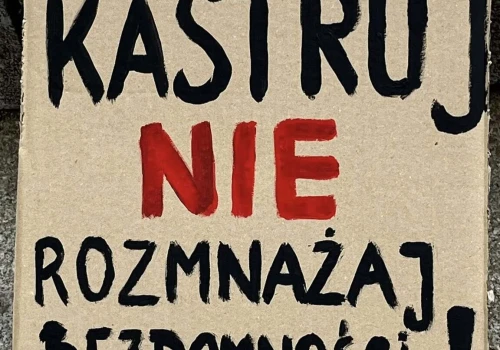 W dniu urodzin zmarłego posła Łukasza Litewki protestowali na Rynku Głównym