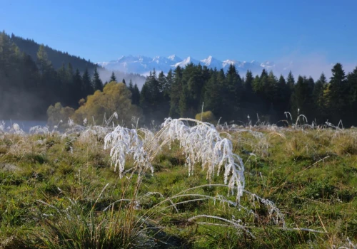 Zbliża się załamanie pogody. Ostrzeżenie meteorologiczne na sobotnią noc