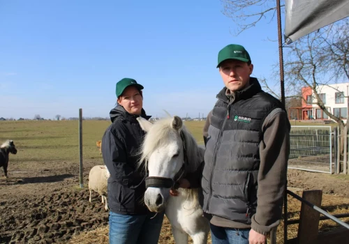 Ma 24 sztuki bydła i kolejkę klientów. „Kupują nawet łój”