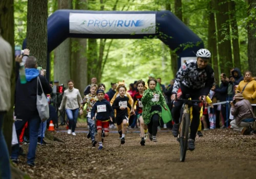 ProviRun w Lesie Łagiewnickim. Bieg charytatywny dla Fundacji Gajusz