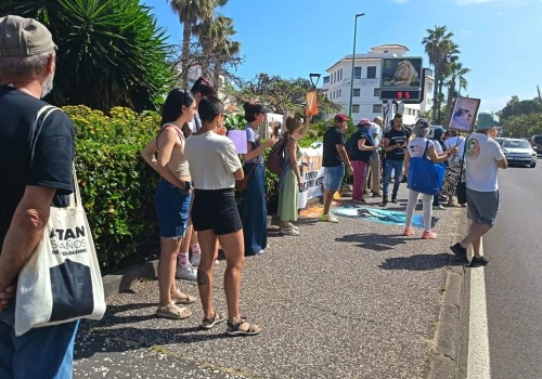 Protest przed Loro Parque: mieszkańcy i aktywiści żądają uwolnienia waleni
