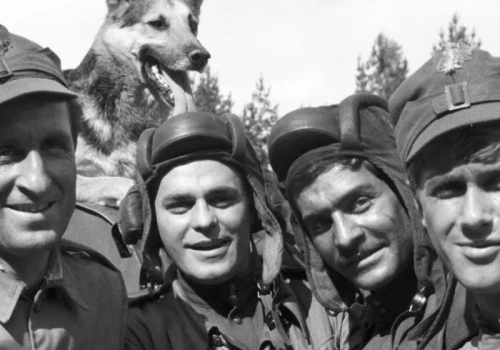 60-lecie kultowego serialu. Wielka propaganda, świetna rozrywka i pies, który skradł serca narodu