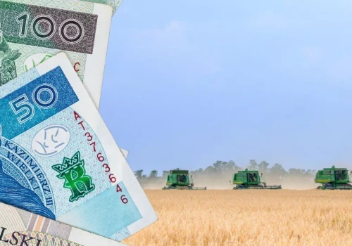Masz ziemię z zasiedzenia? Sprawdź, kiedy możesz ją sprzedać
