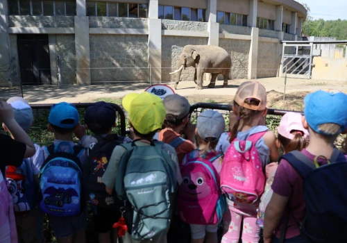 Dzień pełen wrażeń. Przedszkolaki z Czeskiego Cieszyna odwiedziły zoo