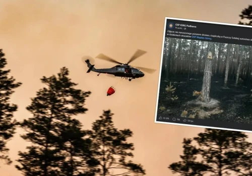Strażacy dogaszają ogień w Puszczy Solskiej. Sieć podbija jedno zdjęcie