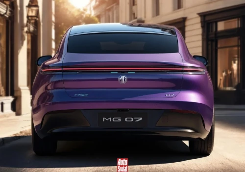 Porsche traci Chiny, bo Chińczycy robią sobie własne 