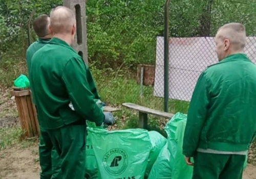Osadzeni z Zakładu Karnego w Siedlcach sprzątali uroczysko Sekuła. Wspólna akcja z nadleśnictwem