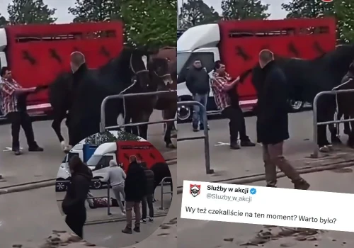 Pajęczno: dorożkarz znęcający się nad końmi dostał szybką karmę i kopa na twarz