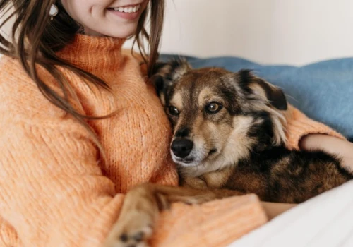 Kamieńsk walczy z bezdomnością zwierząt. Są pieniądze na sterylizację i adopcje