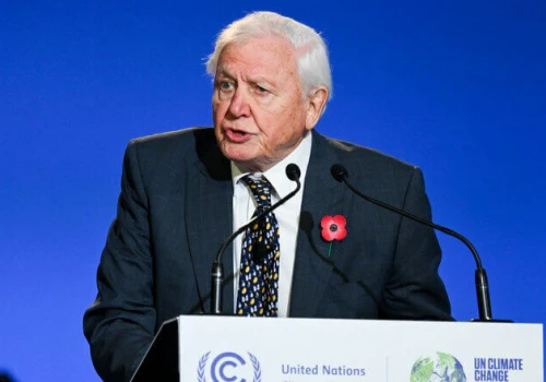 David Attenborough kończy dziś 100 lat. Ziemia potrzebuje go na dalsze sto