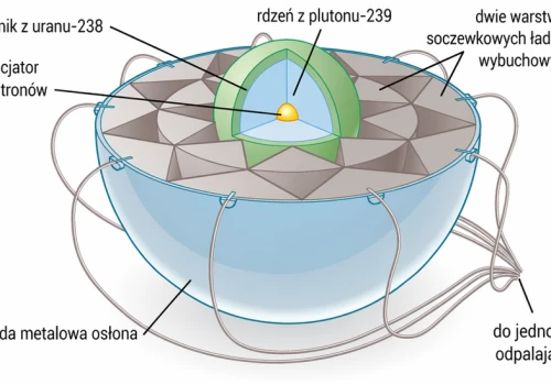 Poznajcie serwis atomowa.edu.pl