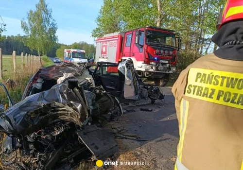 Samochód zderzył się z łosiem pod Wyszkowem. Kierowca nie żyje