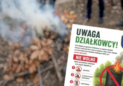 Uwaga Działkowcy: Koniec z paleniem liści i gałęzi. Straż Miejska przypomina o karach