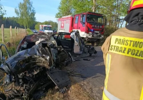 Łoś wybiegł na drogę tuż pod nadjeżdżające auto. Kierowca zmarł