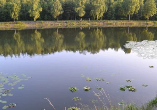 Złap kolor na Wesołej! Przygoda i konkurs z aparatem w dłoni