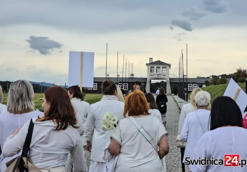 Biały Marsz. Pamięci ofiar, przeciwko wojnom